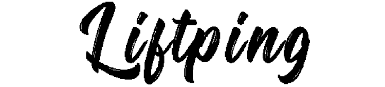 Liftping Chatbot logo